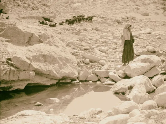 Gerahmter Druck : Sinai 1925 Ägypten Gerahmter Druck : Sinai 1925 Ägypten