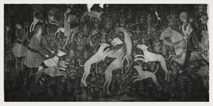 Gerahmter Druck : Stag Bay. Stag am Galgen Gerahmter Druck : Stag Bay. Stag am Galgen
