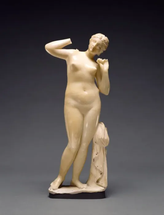 Gerahmter Druck : Venusstatue