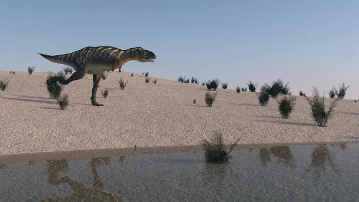 Gerahmter Druck : Aucasaurus läuft entlang der Küste.