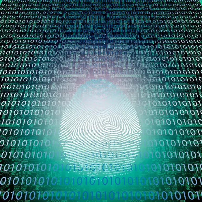 Gerahmter Druck : Maschinenfingerprint. Binärcode. Gerahmter Druck : Maschinenfingerprint. Binärcode.