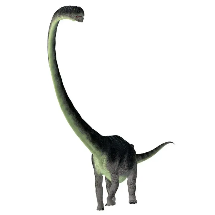Gerahmter Druck : Omeisaurus-Dinosaurier, Frontansicht. Gerahmter Druck : Omeisaurus-Dinosaurier, Frontansicht.
