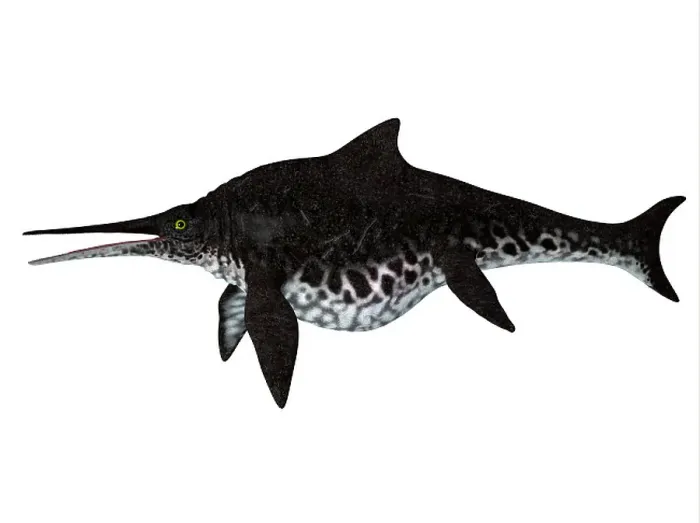 Gerahmter Druck : Shonisaurus ichthyosaur, Seitenansicht Gerahmter Druck : Shonisaurus ichthyosaur, Seitenansicht