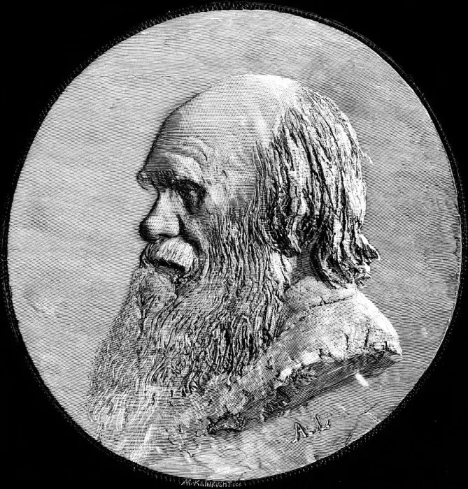 Gerahmter Druck : Karl Darwin, 1882 Gerahmter Druck : Karl Darwin, 1882