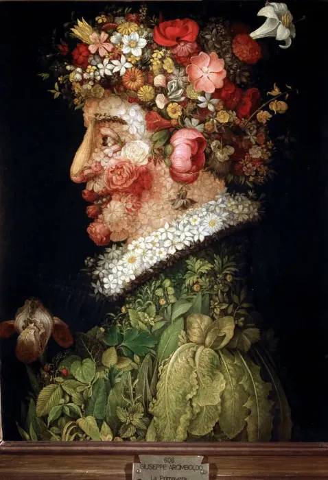 Gerahmter Druck : Giuseppe Arcimboldo Gerahmter Druck : Giuseppe Arcimboldo
