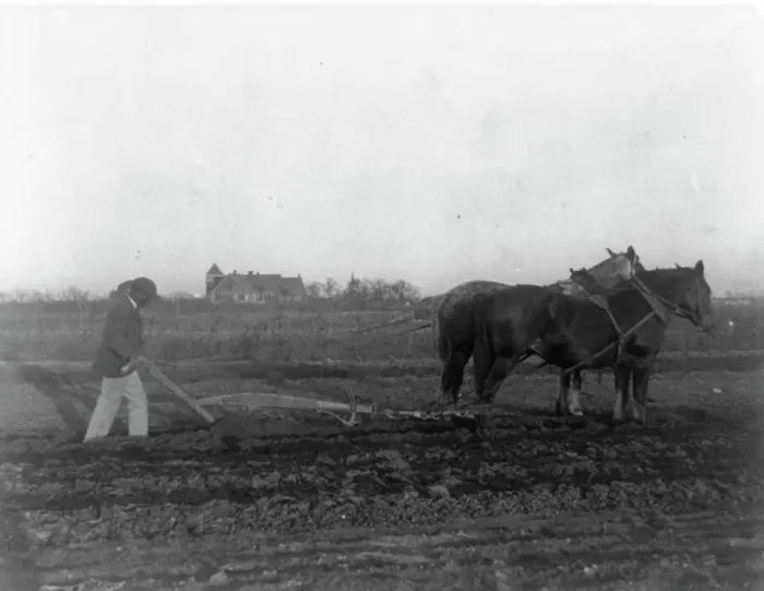 Gerahmter Druck : Verbesserter Pflugmethoden, (1899?). Erfinderin : Frances Benjamin Johnston Gerahmter Druck : Verbesserter Pflugmethoden, (1899?). Erfinderin : Frances Benjamin Johnston