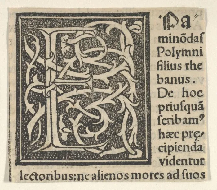 Gerahmter Druck : Anfangsbuchstabe E auf Mustergrundlage, 1520. 1520. Erfinder: Unbekannt Gerahmter Druck : Anfangsbuchstabe E auf Mustergrundlage, 1520. 1520. Erfinder: Unbekannt