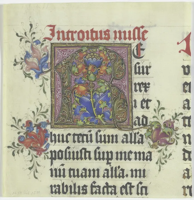 Gerahmter Druck : Ein Initial R, um 1480-1500 Gerahmter Druck : Ein Initial R, um 1480-1500