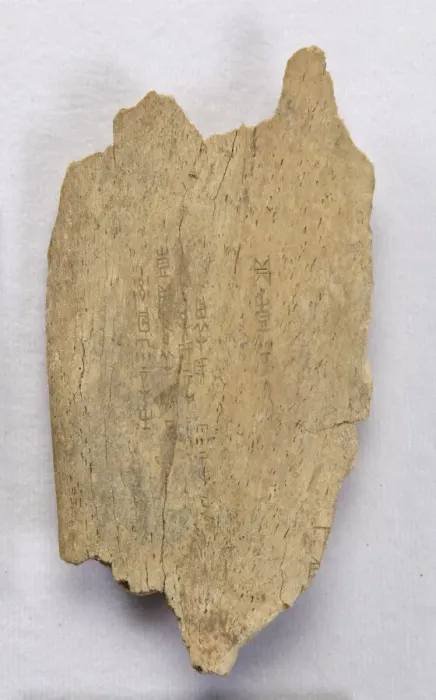 Gerahmter Druck : Fragment eines beschrifteten Knochen ('Orakelknochen'), späte Shang-Dynastie, ca. 1300-1050 v. Chr.