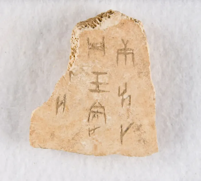Gerahmter Druck : Fragment eines eingeschriebenen Knochen ('Orakelknochen'), späte Shang-Dynastie, ca. 1300-1050 v. Chr.