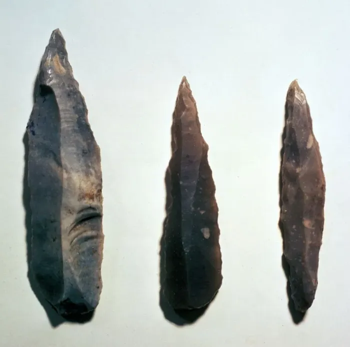 Gerahmter Druck : Mesolithische Mikrolithe Gerahmter Druck : Mesolithische Mikrolithe