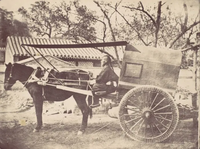 Gerahmter Druck : Peckinger-Pferd, 1867. Erfinder: William Thomas Saunders Gerahmter Druck : Peckinger-Pferd, 1867. Erfinder: William Thomas Saunders