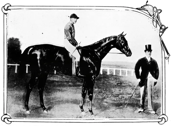 Gerahmter Druck : Zitronenmelone, 1911 Gerahmter Druck : Zitronenmelone, 1911
