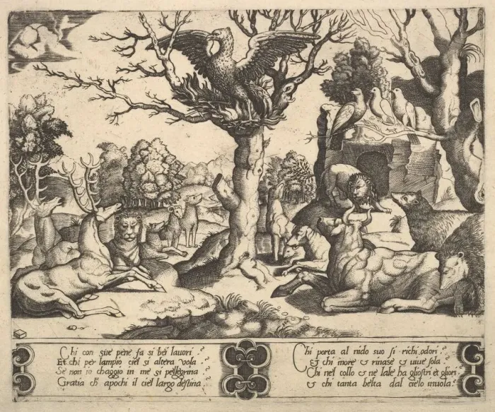 Gerahmter Druck : Ein Phönix saß auf einem Baum, Flügel geöffnet, eine Vielzahl von Tieren unter ihm. 1530 - 60 Gerahmter Druck : Ein Phönix saß auf einem Baum, Flügel geöffnet, eine Vielzahl von Tieren unter ihm. 1530 - 60