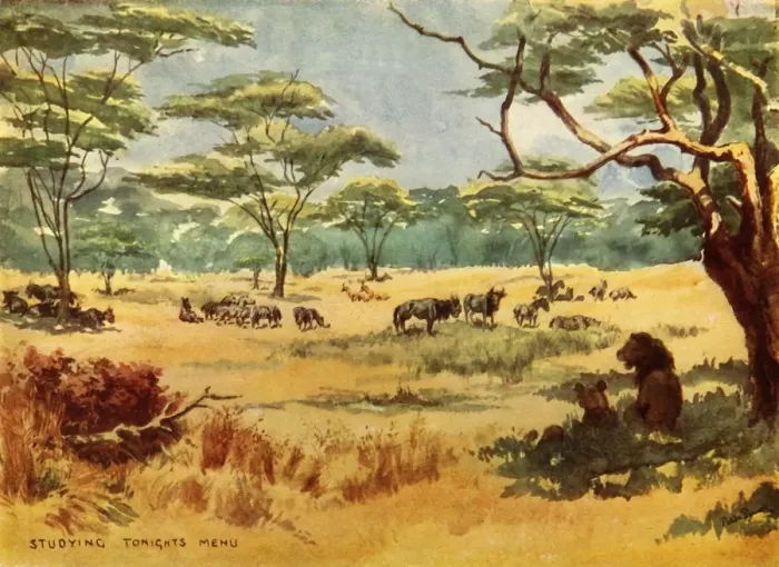 Gerahmter Druck : Studium des Menüs von heute Abend, (1944). Schöpfer: Robert Baden-Powell. Gerahmter Druck : Studium des Menüs von heute Abend, (1944). Schöpfer: Robert Baden-Powell.