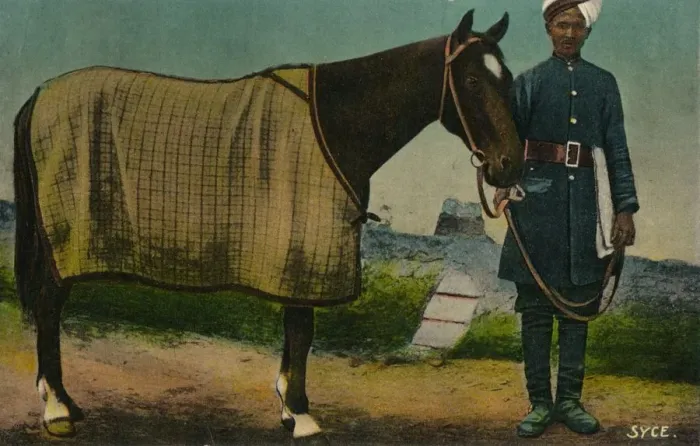 Gerahmter Druck : Sycus, 1910 Gerahmter Druck : Sycus, 1910