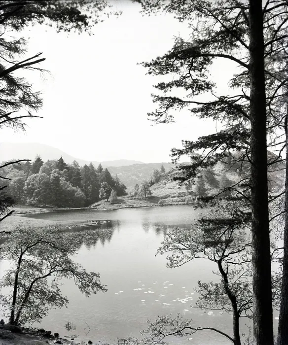 Gerahmter Druck : Tarn Hows, Lake District, c1955. Schöpfer: Arthur Charles Kirby Ware Gerahmter Druck : Tarn Hows, Lake District, c1955. Schöpfer: Arthur Charles Kirby Ware