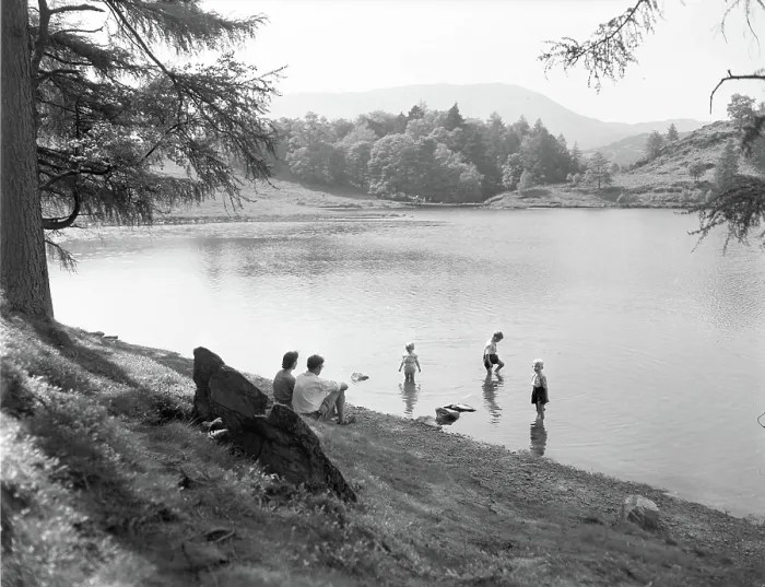 Gerahmter Druck : Tarn Hows, Lake District, c1955. Schöpfer: Arthur Charles Kirby Ware Gerahmter Druck : Tarn Hows, Lake District, c1955. Schöpfer: Arthur Charles Kirby Ware