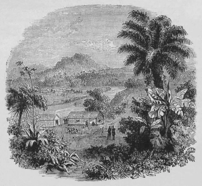Gerahmter Druck : Blick auf Cayenne, 1880