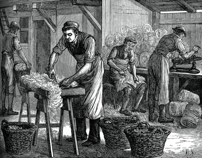 Gerahmter Druck : Wollsortierer 1880 Gerahmter Druck : Wollsortierer 1880