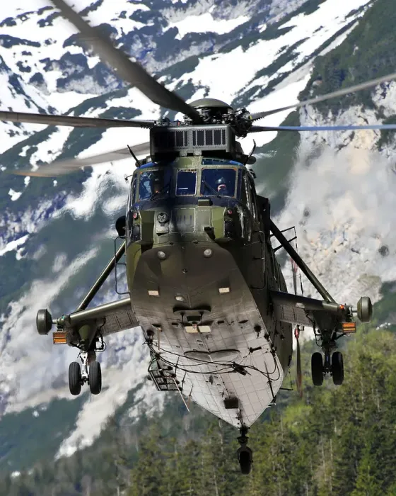 Gerahmter Druck : Ein Seaking-Hubschrauber aus der Kommando-Hubschrauberkraft Gerahmter Druck : Ein Seaking-Hubschrauber aus der Kommando-Hubschrauberkraft