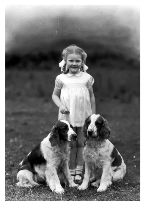 Gerahmter Druck : Hintergrund / Kind und Schäferhund Gerahmter Druck : Hintergrund / Kind und Schäferhund