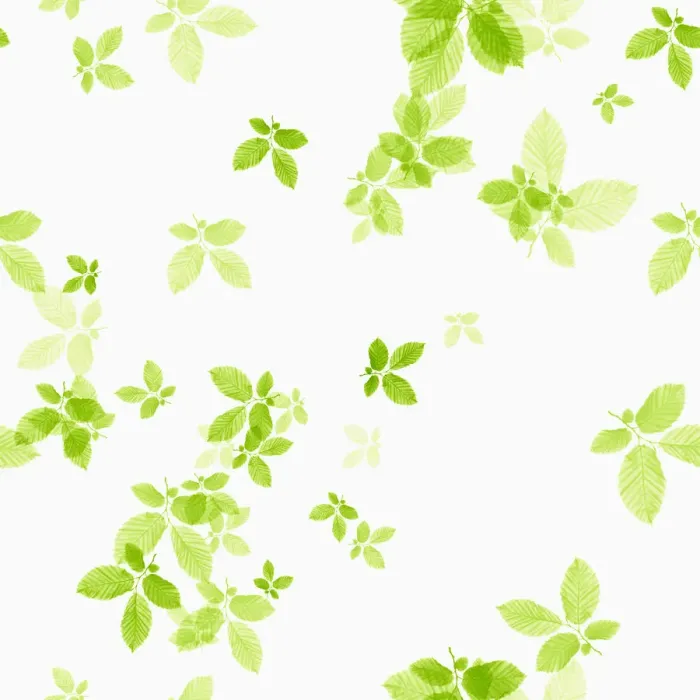 Gerahmter Druck : Fichte des Buches oder Eiche (Fagus sylvatica) Gerahmter Druck : Fichte des Buches oder Eiche (Fagus sylvatica)
