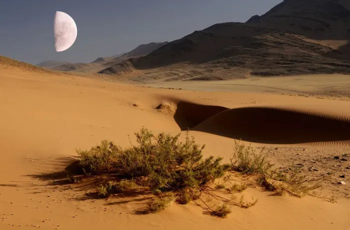 Gerahmter Druck : Desert. Erkundungen im Sanddunengebirge von Serra Cafema in der Wildnis Gerahmter Druck : Desert. Erkundungen im Sanddunengebirge von Serra Cafema in der Wildnis