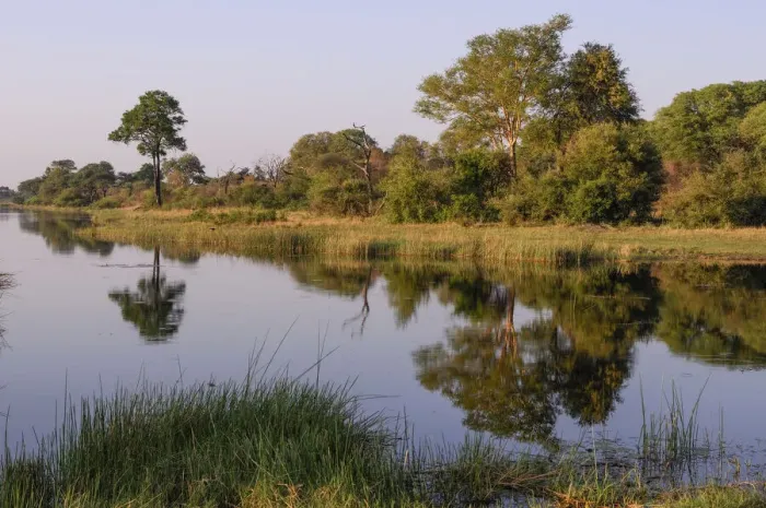Gerahmter Druck : Namibia. Langfristiger Lagunenfluss Kwando Fluss Bwabwatascher Schutzgebiet Gerahmter Druck : Namibia. Langfristiger Lagunenfluss Kwando Fluss Bwabwatascher Schutzgebiet