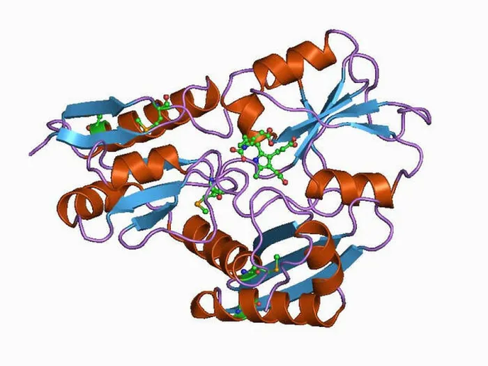 Gerahmter Druck : 7 PDB 1ah5 EBI Gerahmter Druck : 7 PDB 1ah5 EBI