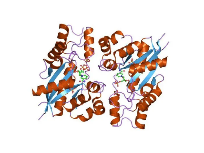 Gerahmter Druck : 85 PDB 1nup EBI Gerahmter Druck : 85 PDB 1nup EBI