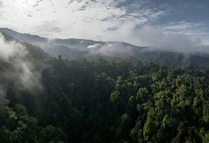 Gerahmter Druck : Aerial view of the Cloudforest, Mashpi, Reserva Mashpi Amagusa, Pichincha, Ecuador, South America Gerahmter Druck : Aerial view of the Cloudforest, Mashpi, Reserva Mashpi Amagusa, Pichincha, Ecuador, South America