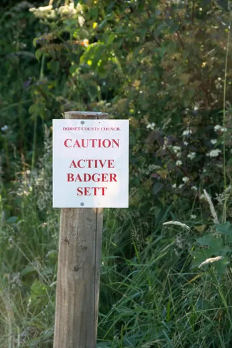 Gerahmter Druck : Badger-Settlements-Warnzeichen Gerahmter Druck : Badger-Settlements-Warnzeichen