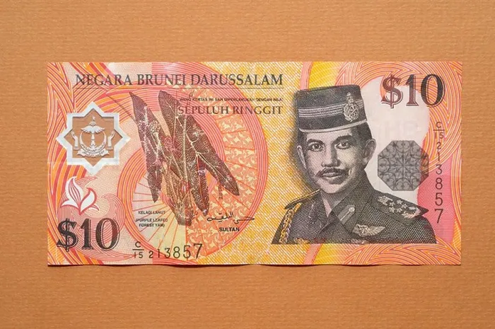 Gerahmter Druck : Brunei 10 Ringeit (Dollar) Notiz