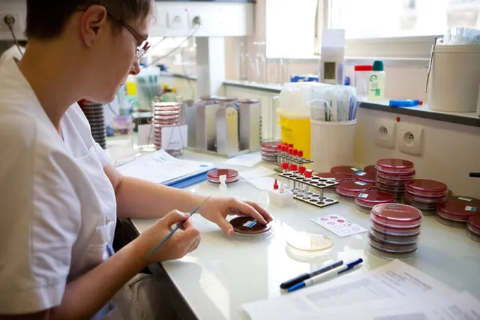 Gerahmter Druck : Koagulase-Test Gerahmter Druck : Koagulase-Test