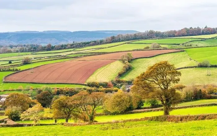 Gerahmter Druck : Landwirtschaftsgebiete, Weideflächen und Felder über Devon im Herbstfarbenrhythmus von England und Europa Gerahmter Druck : Landwirtschaftsgebiete, Weideflächen und Felder über Devon im Herbstfarbenrhythmus von England und Europa