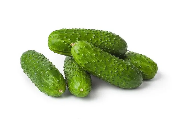 Gerahmter Druck : Frische Gurken Gerahmter Druck : Frische Gurken