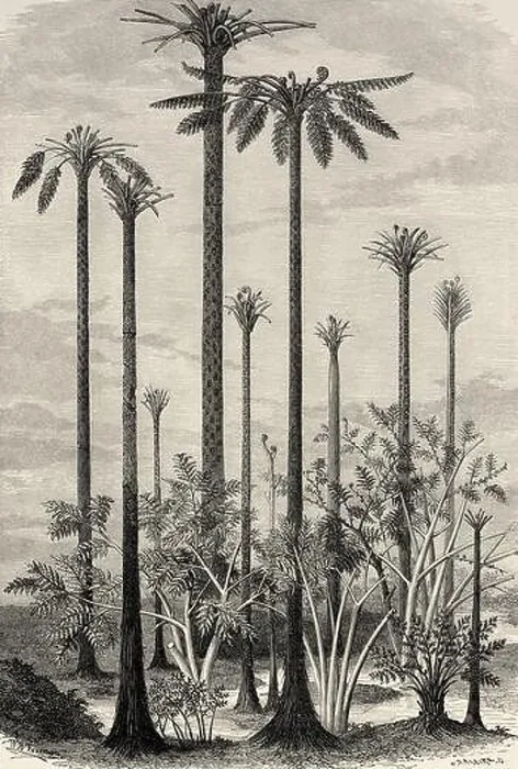 Gerahmter Druck : Landschaft der primitiven Welt Gerahmter Druck : Landschaft der primitiven Welt