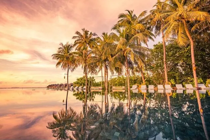 Gerahmter Druck : Unendliche Poolreflexion Landschaft. Luxuriöses Strandresort mit Schwimmbad und Strandliegen unter Sonnenschirmen mit Palmen am Sonnenuntergang Himmel Gerahmter Druck : Unendliche Poolreflexion Landschaft. Luxuriöses Strandresort mit Schwimmbad und Strandliegen unter Sonnenschirmen mit Palmen am Sonnenuntergang Himmel