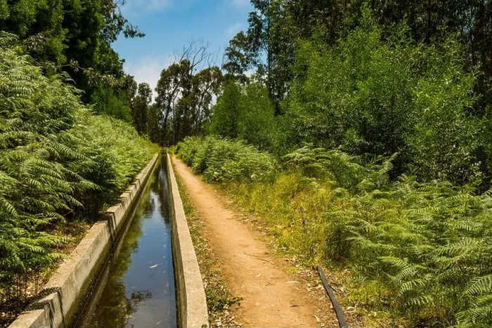 Gerahmter Druck : Levada Nova in Calheta Madeira Gerahmter Druck : Levada Nova in Calheta Madeira