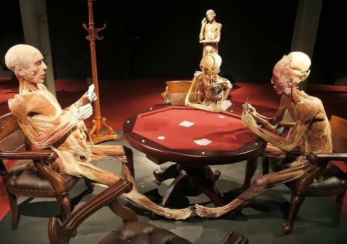 Gerahmter Druck : Das Plastinarium Gerahmter Druck : Das Plastinarium