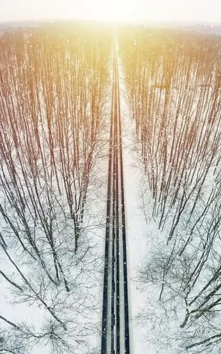 Gerahmter Druck : Straße durch Winterwald