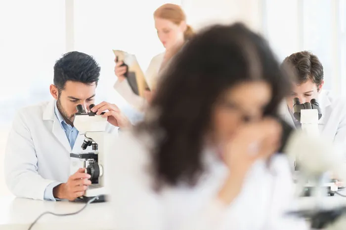 Gerahmter Druck : Wissenschaftler arbeiten in einem Labor. Gerahmter Druck : Wissenschaftler arbeiten in einem Labor.