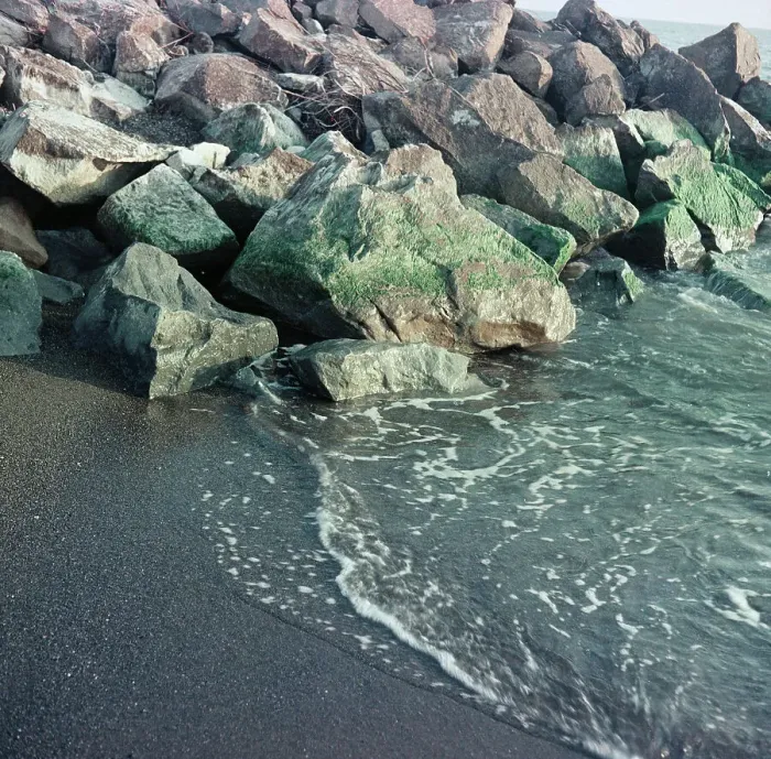 Gerahmter Druck : Die Strandlandschaft von Cecina Gerahmter Druck : Die Strandlandschaft von Cecina