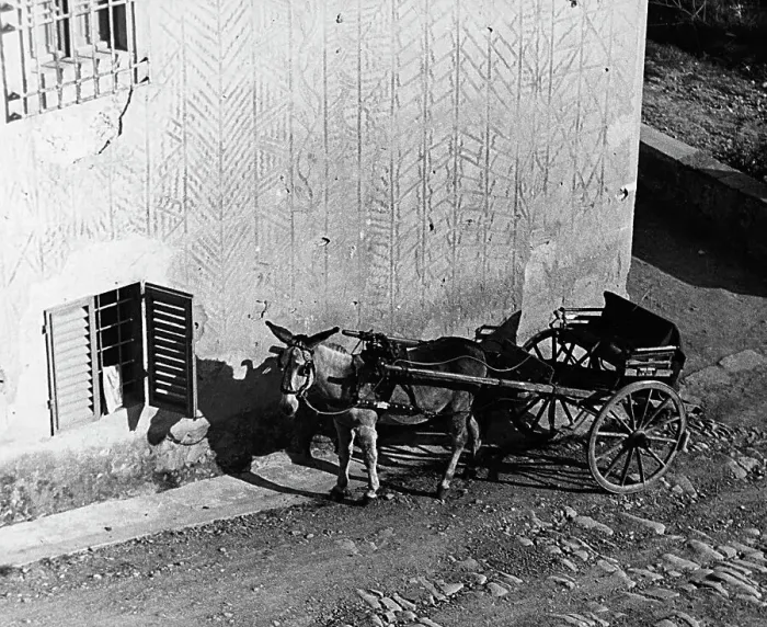 Gerahmter Druck : Ein Maultier zieht eine Carrozza.