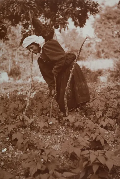 Gerahmter Druck : Eine Bauernfrau bei der Arbeit in Scanno Gerahmter Druck : Eine Bauernfrau bei der Arbeit in Scanno