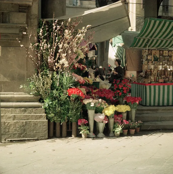 Gerahmter Druck : Ein Florist in Florenz Gerahmter Druck : Ein Florist in Florenz