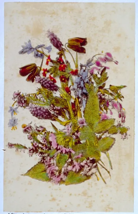 Gerahmter Druck : Kleine Sammlung von Blumen aus Acteas, Meerschalen und Imperialkorallen. Gerahmter Druck : Kleine Sammlung von Blumen aus Acteas, Meerschalen und Imperialkorallen.