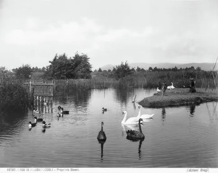 Gerahmter Druck : Lago di Massaciuccoli Gerahmter Druck : Lago di Massaciuccoli