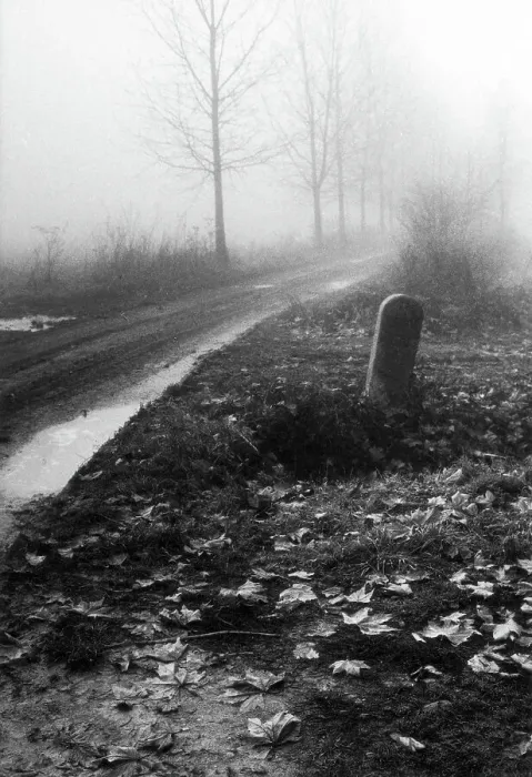 Gerahmter Druck : Landschaft in der Nebel Gerahmter Druck : Landschaft in der Nebel